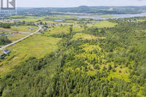 4207 South River Road, South River, NS B2G2H9 Photo 2
