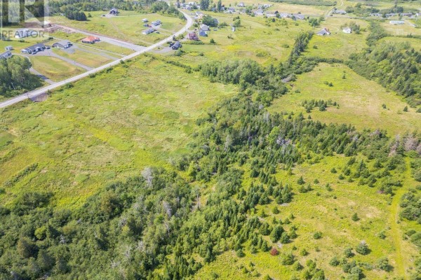 4207 South River Road, South River, NS B2G2H9 Photo 5
