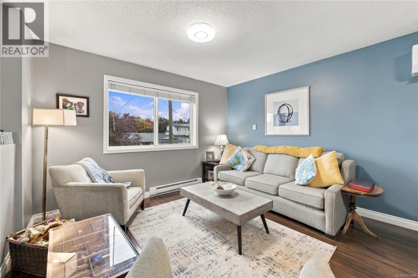 Living room with a grey sofa, armchair, coffee table, and a large window. - 421 Murray St, Nanaimo