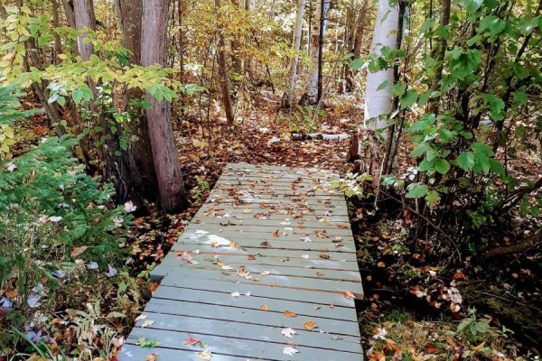 Wooden boardwalk path through a wooded area with autumn leaves - 42125 Combermere Road Ne, Madawaska Valley