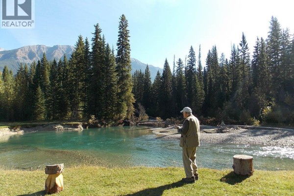 Man fly fishing in a clear blue river surrounded by pine trees. - 4227-4233 Beaverfoot Forest Service Road, Golden