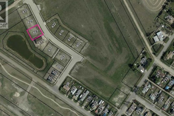 423 Frederick Avenue, Standard, AB T0J3G0 Photo 5