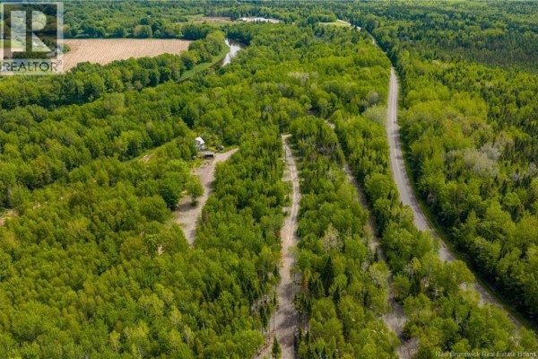 423 Salisbury Back Road, Salisbury, NB E4J1K3 Photo 5