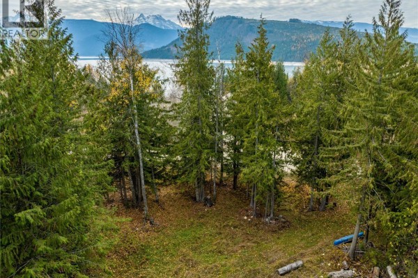 424 Galena Shores Drive, Galena Bay, BC V0G1R0 Photo 4