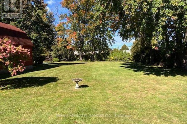 Backyard with a large green lawn, mature trees, and a bird bath. - 425 Second St. E Street E, Cornwall