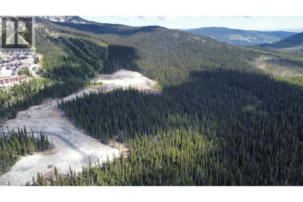 4259 Black Forest Road, Big White, BC V1P1P3 Photo 4