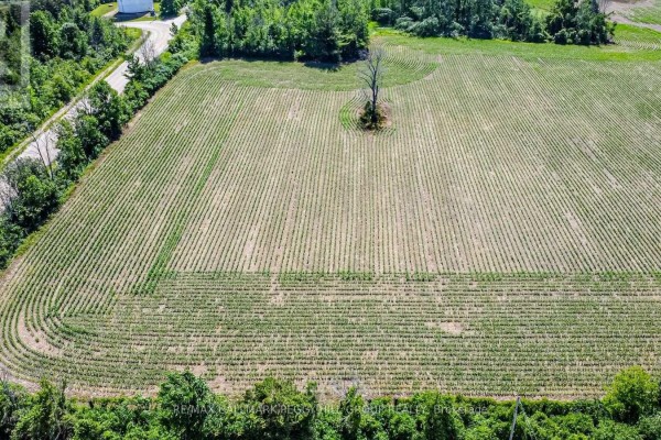 426 Seventh Avenue, Tay, ON, photo 3
