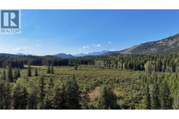 4265 Giant Mine Road, Spillimacheen, BC V0A1P0 Photo 4