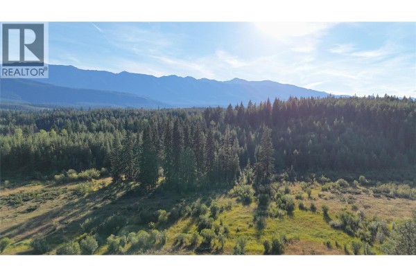 4265 Giant Mine Road, Spillimacheen, BC V0A1P0 Photo 5