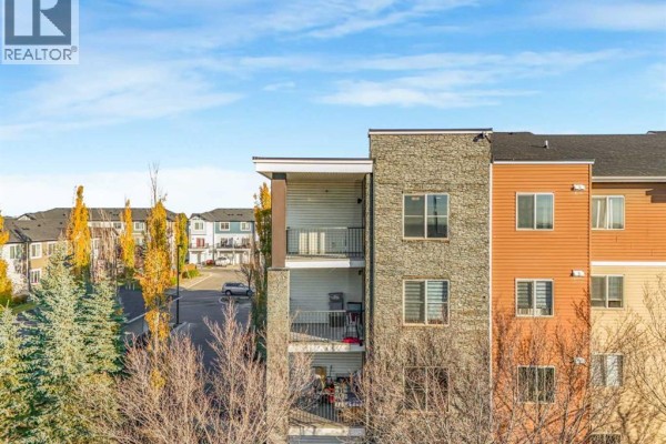 Laundry room - 427, 355 Taralake Way Ne, Calgary, AB T3J0M1 Photo 4