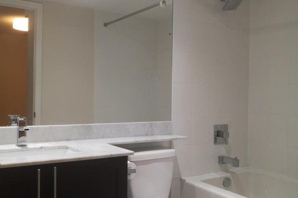 427 - 65 East Liberty Street, Toronto, ON M6K0A2 Photo 5