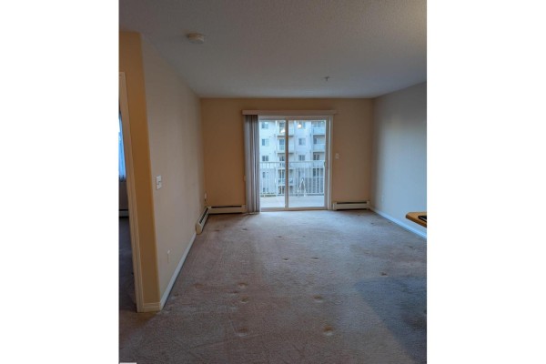 Primary Bedroom - #427 7511 171 St Nw, Edmonton, AB T5T6S7 Photo 4