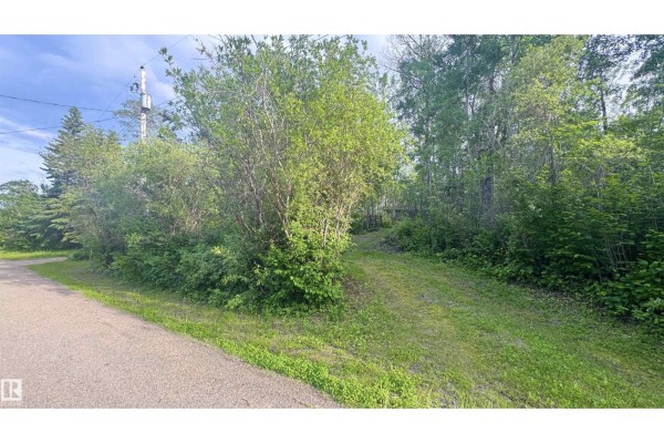 428 11121 Twp Road 595, Rural St  Paul County, AB, photo 3