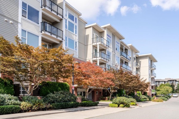 429 15956 86a Avenue, Surrey, BC V4N6N8 Photo 3
