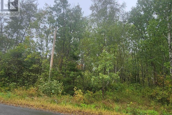 43 Acres Findley Road, North Noel Road, NS B0N1T0 Photo 4