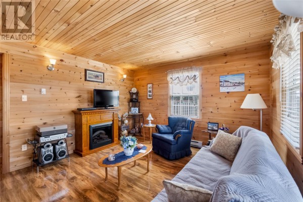 43 Birch Ridge Road, Goulds Big Pond, NL A0B3K0 Photo 5