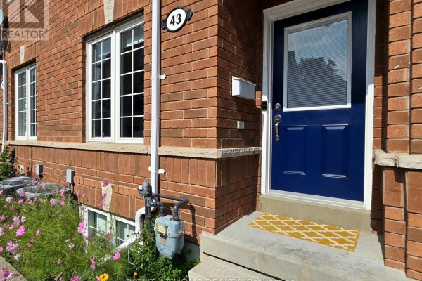 Kitchen - 43 Brickworks Lane, Toronto, ON M6N5H8 Photo 3