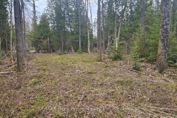 43 Hardwick Cove Road, Northern Bruce Peninsula, ON N0H1W0 Photo 2
