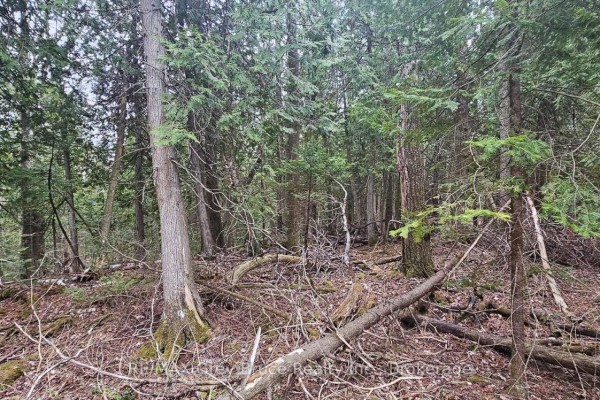43 Hardwick Cove Road, Northern Bruce Peninsula, ON N0H1W0 Photo 3