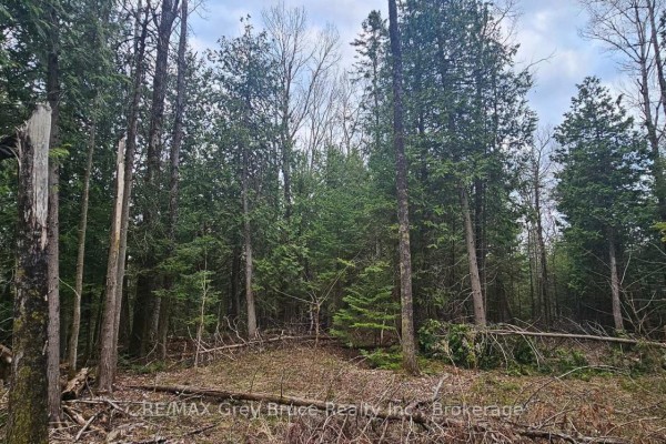 43 Hardwick Cove Road, Northern Bruce Peninsula, ON N0H1W0 Photo 4
