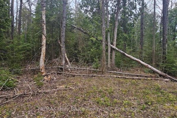 43 Hardwick Cove Road, Northern Bruce Peninsula, ON N0H1W0 Photo 5