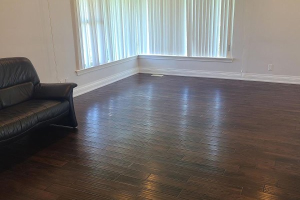 Living room - 43 Playfair Avenue, Toronto, ON M6B2P7 Photo 4