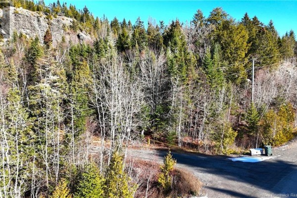 43 Spur No.1 Road, Bocabec, NB E5B3K1 Photo 5