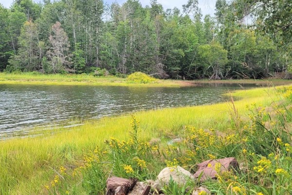 3pc Bathroom - 432 Stewart Road, Pugwash River, NS B0K1L0 Photo 5