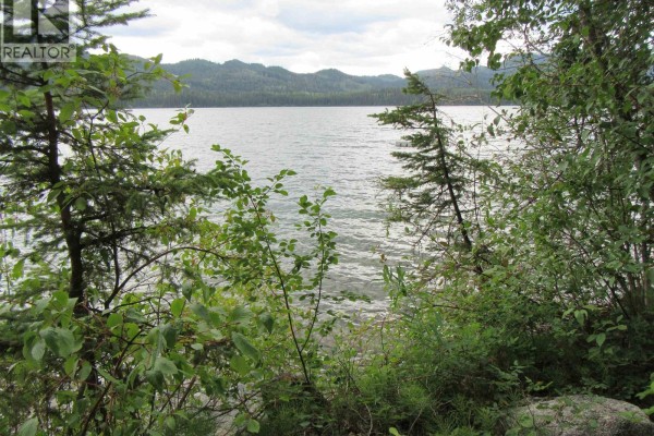 Other - 4336 Birch Lake Dump Road, Bridge Lake, BC V0K1E0 Photo 5