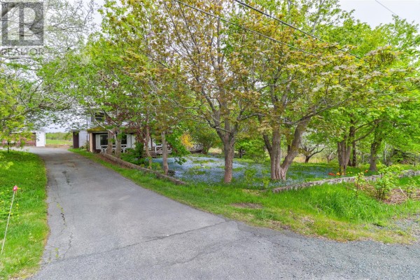 434 Allandale Road, St  John S, NL A1B4E8 Photo 3