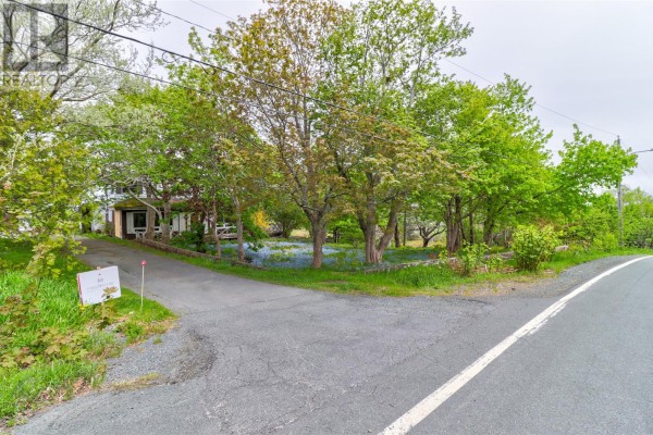 434 Allandale Road, St  John S, NL A1B4E8 Photo 4