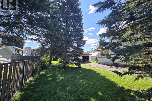 View from the backyard through tall evergreen trees towards the house and garage on a sunny day. - 436 Fourth Street E, Cornwall