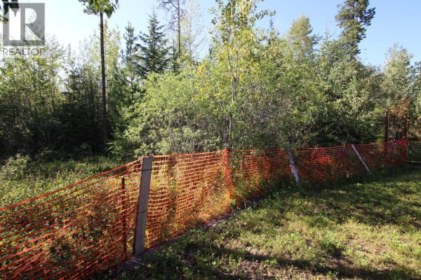 Primary Bedroom - 436 Bergeron Drive, Tumbler Ridge, BC V0C2W0 Photo 5