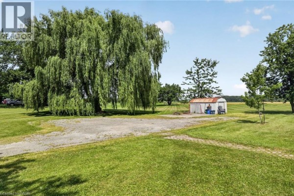 Side view of a weeping willow tree, a metal shed, and surrounding green grass on the property. - 4373 Regional Road 20, West Lincoln