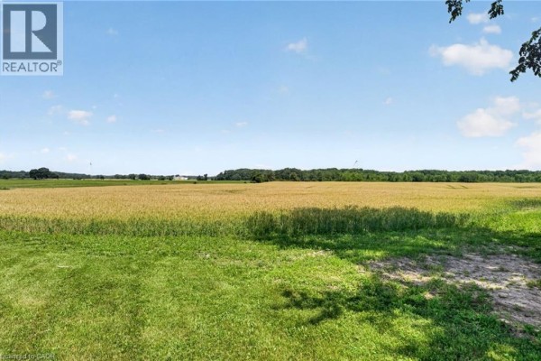 View of a golden wheat field under a blue sky with scattered clouds from the property's edge. - 4373 Regional Road 20, West Lincoln