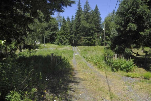 Gravel driveway leading through a grassy yard with wooden gate posts and power lines. - 43751 Frost Road, Columbia Valley, Columbia Valley
