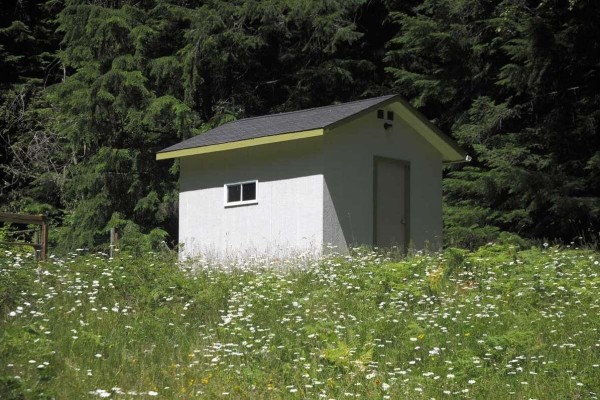 Small white shed with a gray roof, a window, and a door, surrounded by white wildflowers. - 43751 Frost Road, Columbia Valley, Columbia Valley