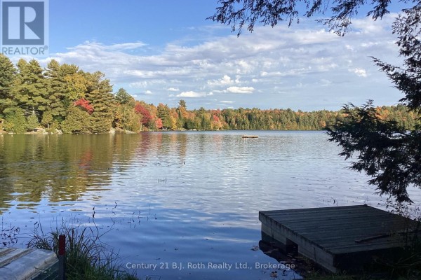 Colorful autumn foliage with vibrant leaves on trees - 439 Springwater Crescent, Bracebridge