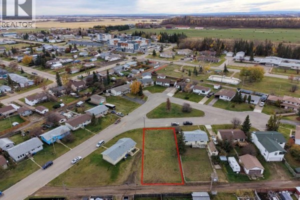 44 Mcalpine Crecent, Spirit River, AB T0H3G0 Photo 2