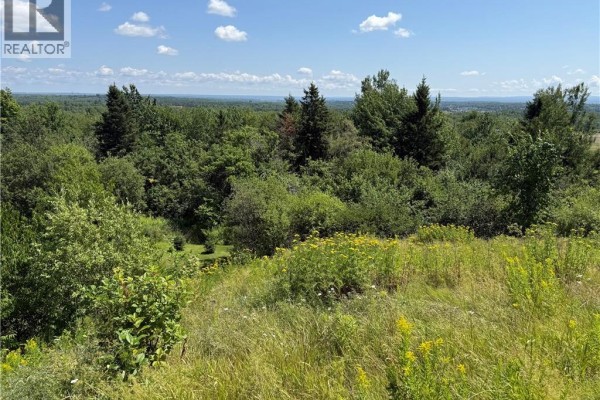 440 Front Mountain, Moncton, NB E1G3H5 Photo 4