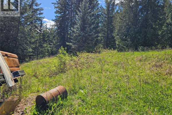 4402 Leopold Road, Scotch Creek, BC V0E1M5 Photo 2