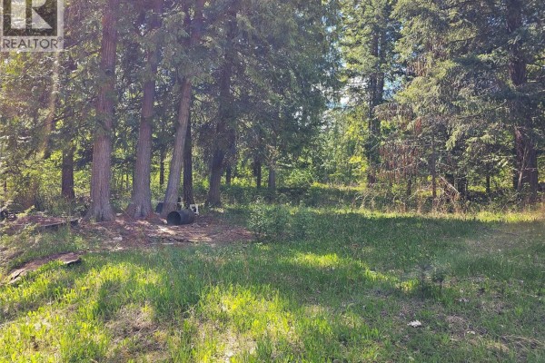 4402 Leopold Road, Scotch Creek, BC V0E1M5 Photo 3
