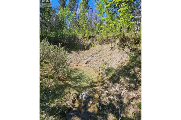 4402 Leopold Road, Scotch Creek, BC V0E1M5 Photo 4