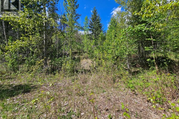 4402 Leopold Road, Scotch Creek, BC V0E1M5 Photo 5