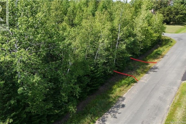 441 Petrie Avenue, North Tetagouche, NB E2A4Y9 Photo 4