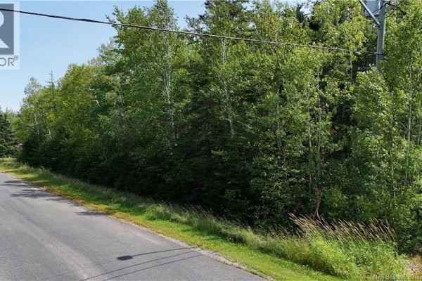 441 Petrie Avenue, North Tetagouche, NB E2A4Y9 Photo 5