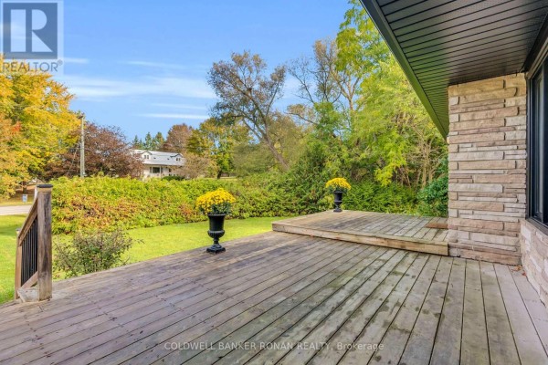 Kitchen - 4411 7th Line, Bradford West Gwillimbury, ON L0G1B0 Photo 3