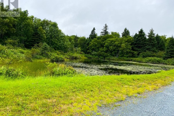 442-446 Conception Bay Highway, Bay Roberts, NL A0A1G0 Photo 5