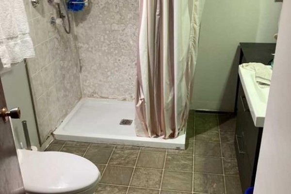 3pc Bathroom - 4431 Greenview Drive Ne, Calgary, AB T2E5R3 Photo 4