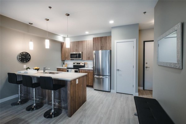 446 1505 Molson Street, Winnipeg, MB, photo 2